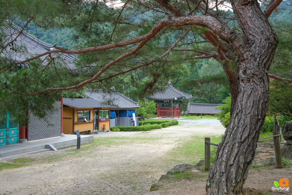 홍천 수타사 홍천 공작산 생태숲 강원도 드라이브 코스