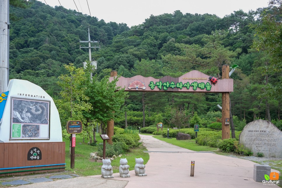 홍천 수타사 홍천 공작산 생태숲 강원도 드라이브 코스