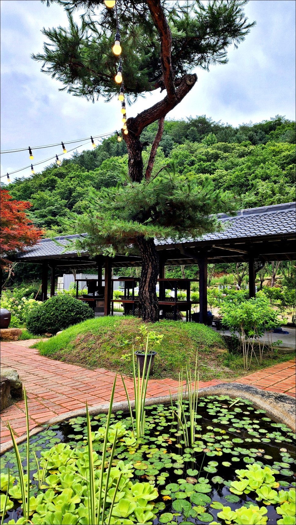 경기도 가볼만한곳 포천 산정호수 둘레길 경기도 걷기좋은길!