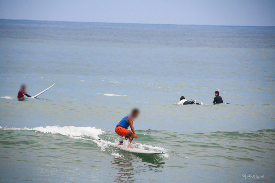 알찼던 양양 서핑 강습 인구해변 서파리