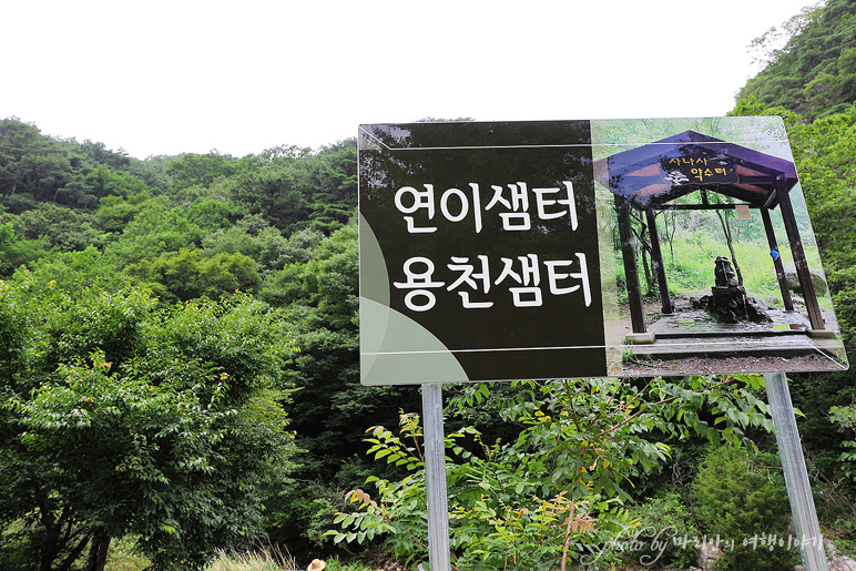 양평 계곡 서울근교 물놀이 사나사계곡 양평 여행