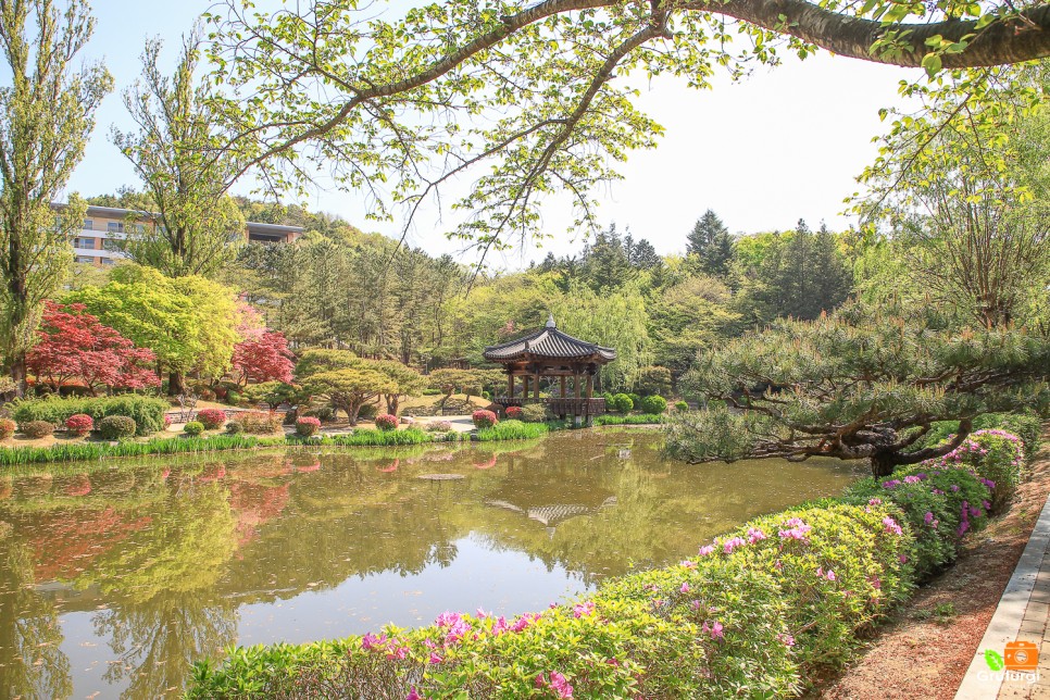 경주 가볼만한곳 아이와 보문단지 체험 놀거리 경주 여행코스