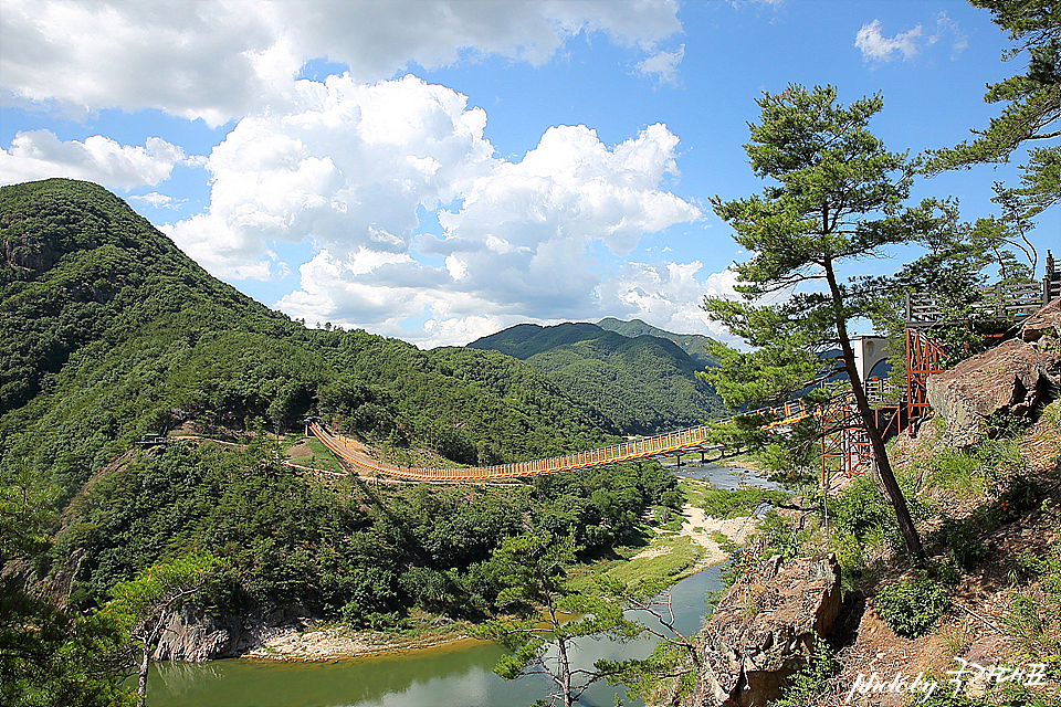 충남 여행 금산 출렁다리 월영산 등산하기 좋은 산