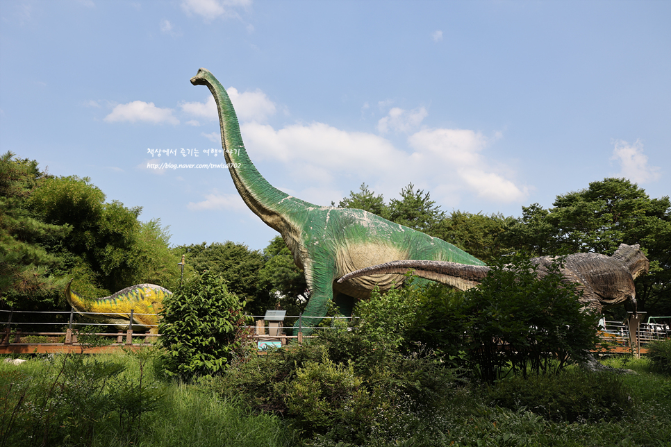 노원구 아이와함께 가볼만한곳 노원 중계근린공원 바닥분수 공룡위치
