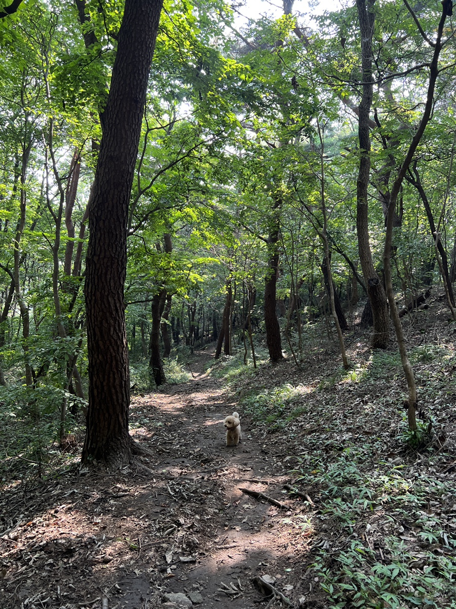 소확행 3일 / 똥쁘라와의 시간