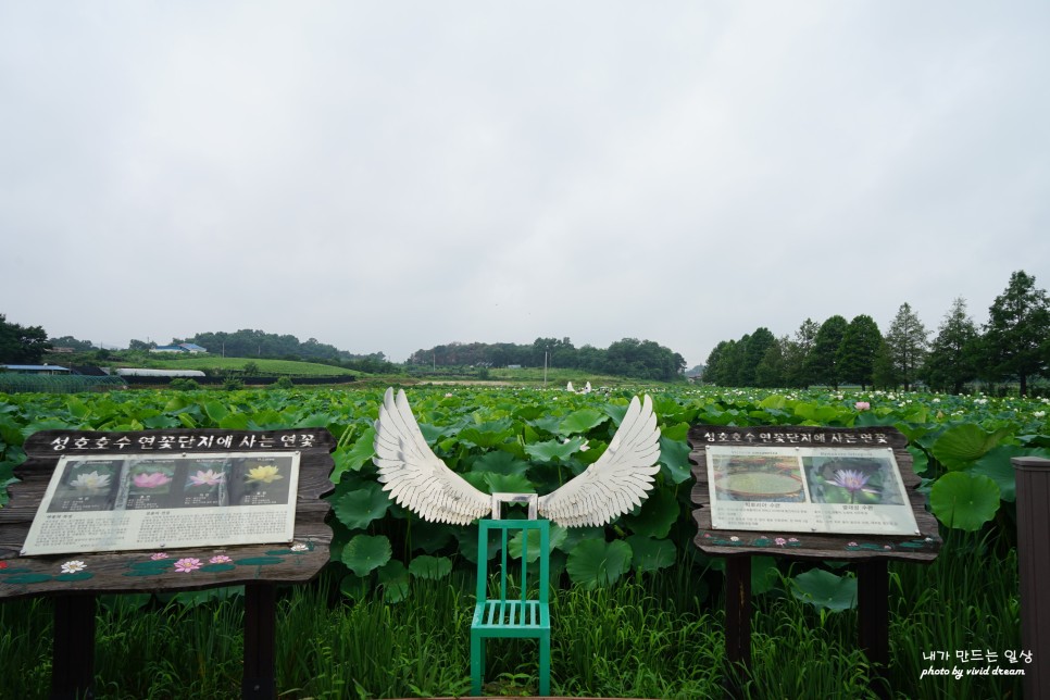 이천가볼만한곳 도드람테마파크 바베큐하우스 여름휴가 장보기 좋은 하나로마트