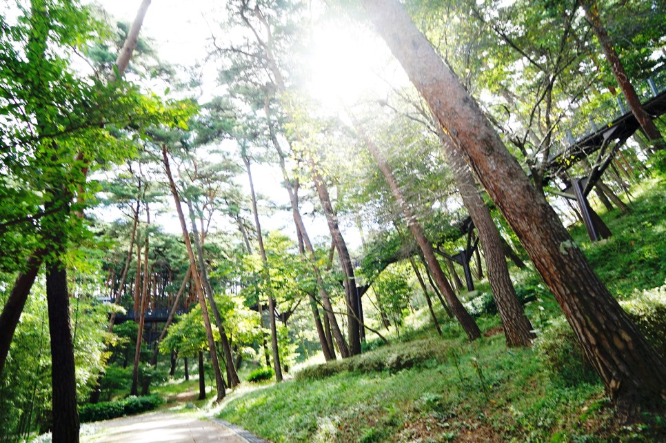 충청도 여행 코스 보령 해저터널 서해 바다 해수욕장 추천 등