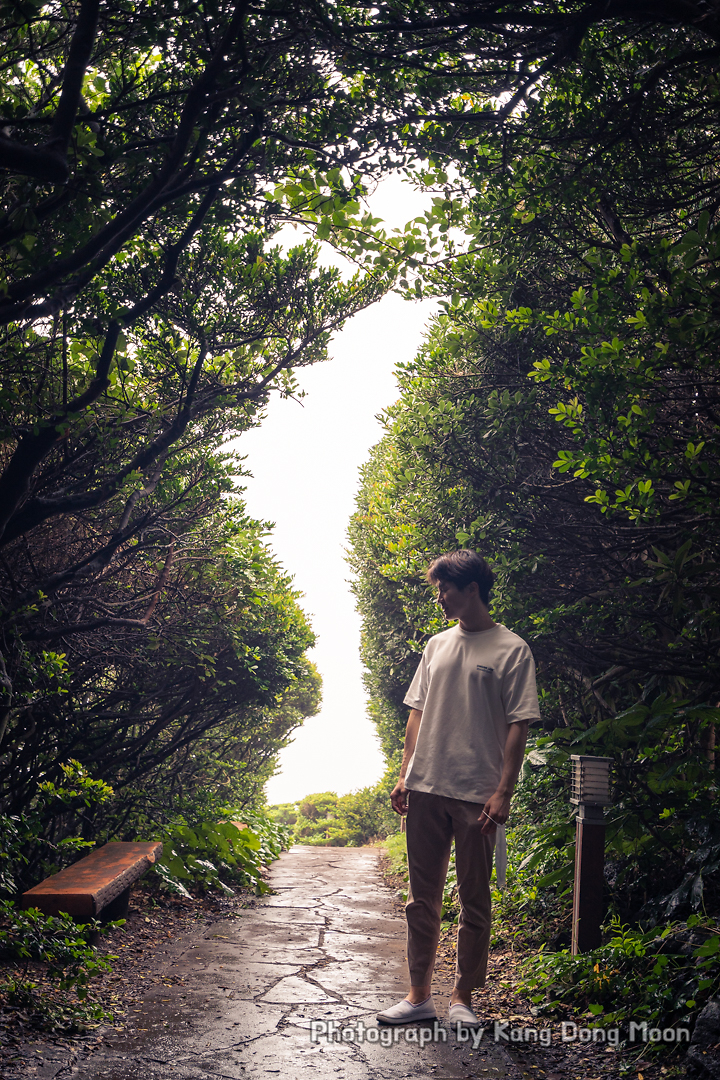 제주도 가볼만한곳 제주 여행 코스 추천 성산일출봉 섭지코지 등 동쪽 제주도 관광지