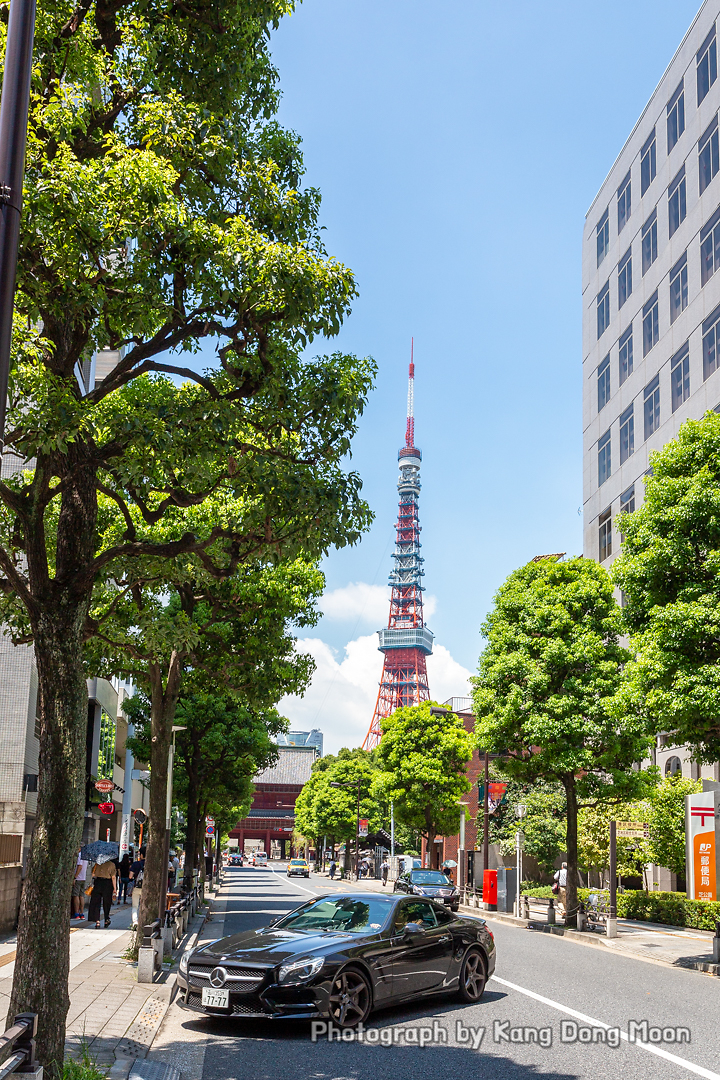 해외 여행지 추천 일본 여행 추천 관광지 도쿄 가볼만한곳 조죠지 도쿄타워 자유여행