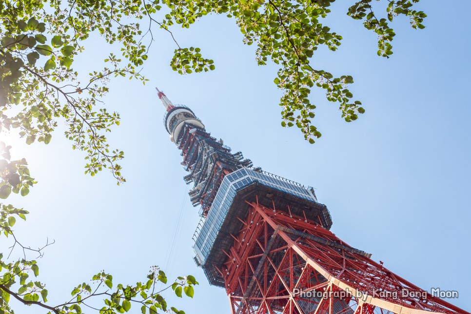 해외 여행지 추천 일본 여행 추천 관광지 도쿄 가볼만한곳 조죠지 도쿄타워 자유여행