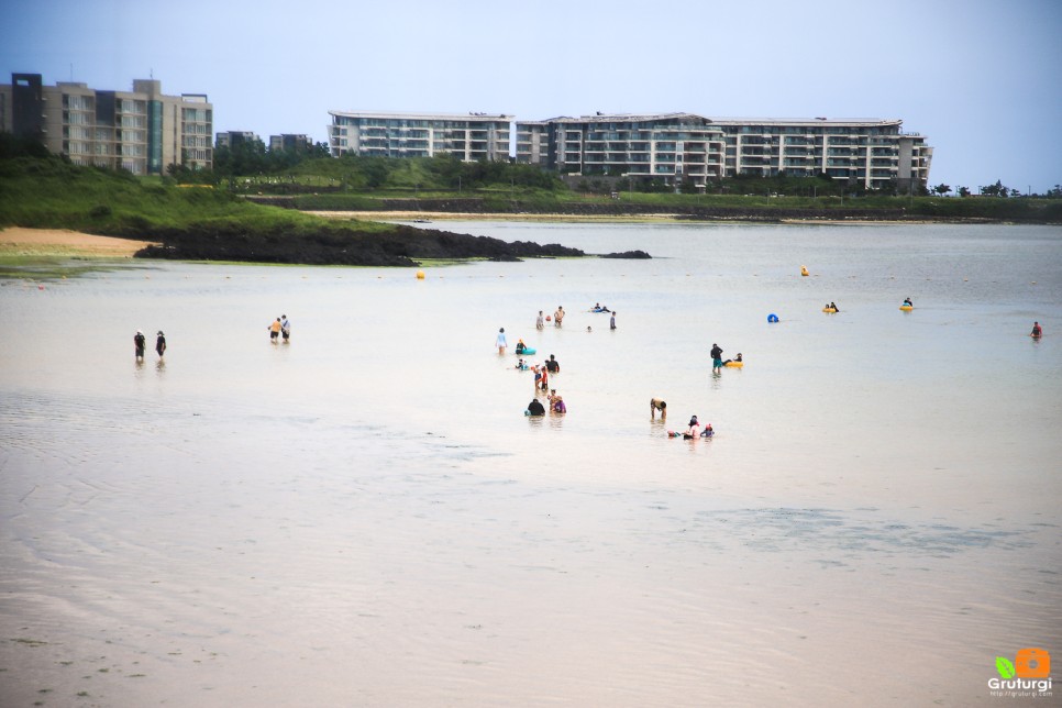 서귀포 카페 제주도 빵집 서귀피안 베이커리 제주도 빵지순례