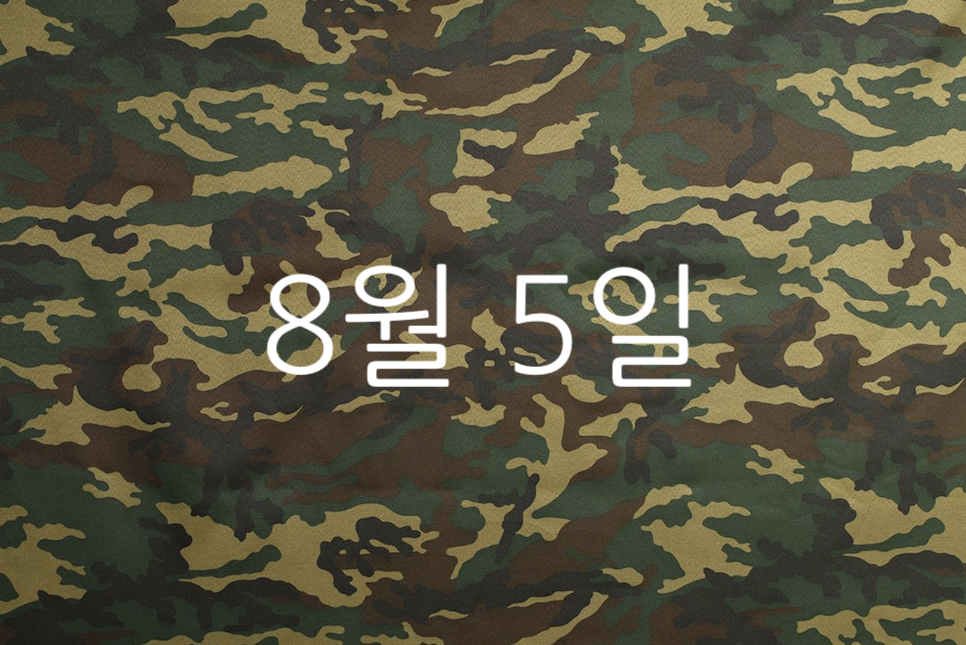 신병 드라마 시즌2 다시보기 재방송 웹툰 OTT 는