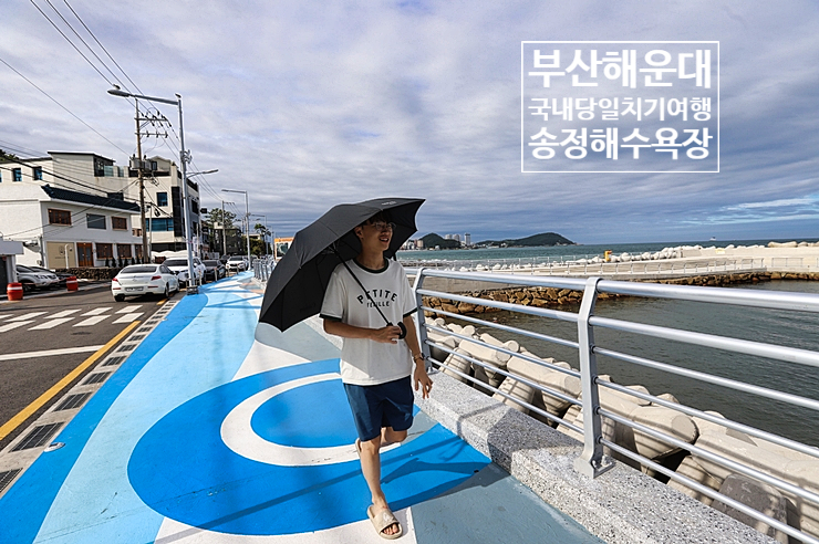 국내당일치기여행 부산 해운대와 송정 해수욕장 서핑족의 만남_ 주간일기 8월 1주