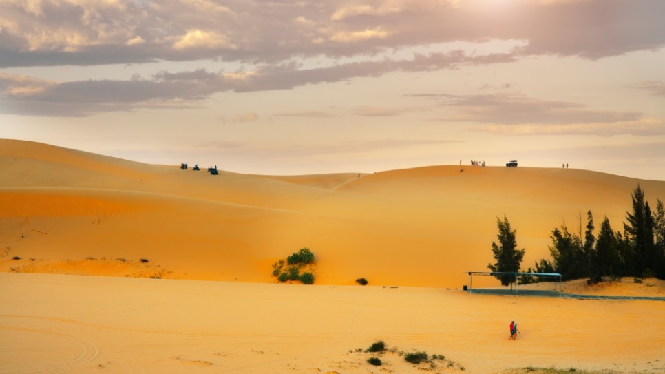 베트남 여행지 추천 : 나트랑 무이네 사막투어