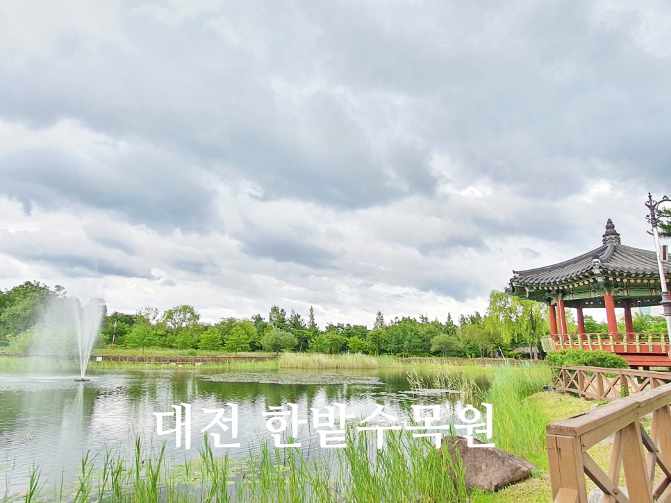 대전 시내 볼거리 명소 가볼만한곳 대전 한밭수목원