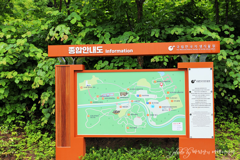 강원도 여행지 추천 평창 국립 한국자생식물원 힐링 여행