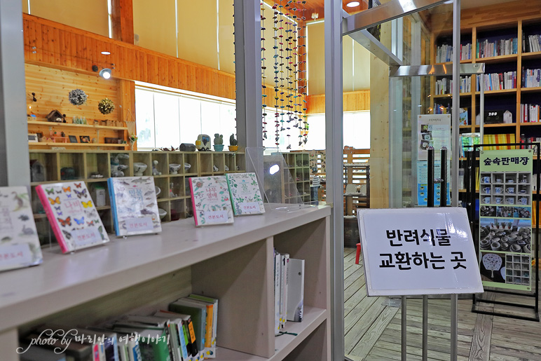 강원도 여행지 추천 평창 국립 한국자생식물원 힐링 여행