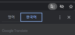 크롬 구글 영문 번역 사용하는 방법, 확장 프로그램