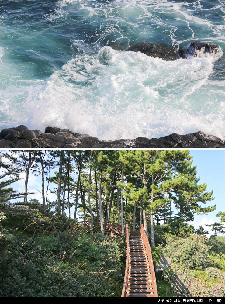 제주 서귀포 가볼만한곳 중문관광단지 근처 볼거리 제주 먹거리