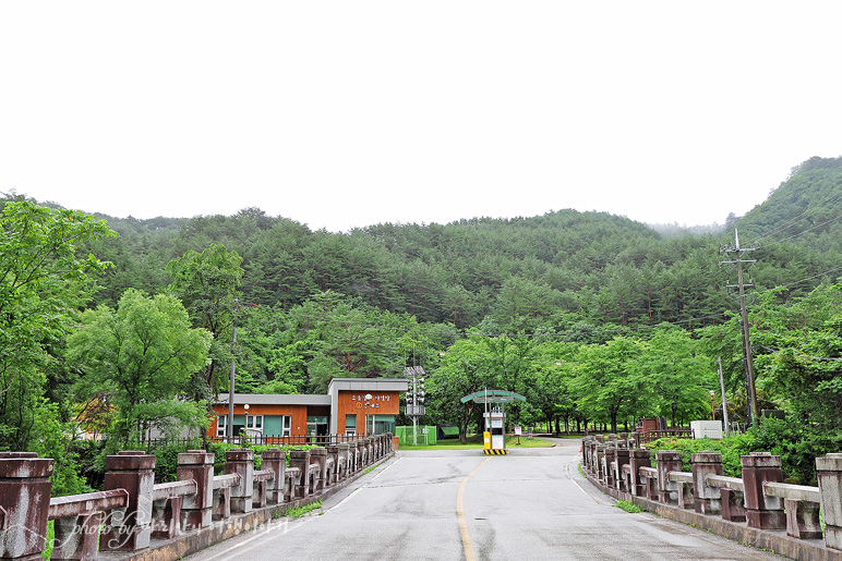 강원도 강릉 소금강 계곡 국내 여름 여행지 추천