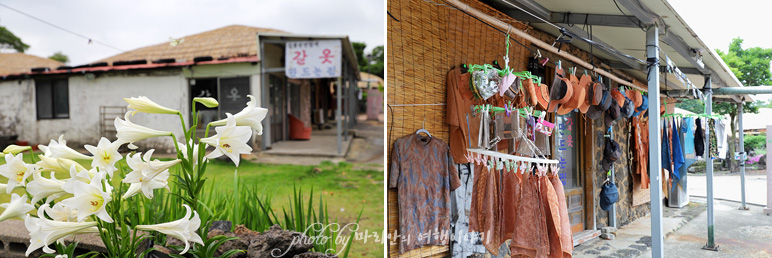 제주도 표선 제주 성읍민속마을 서귀포 여행