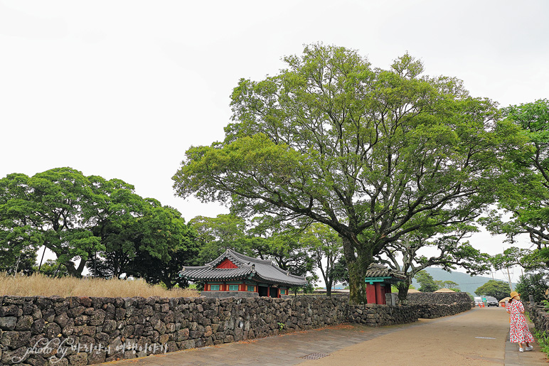 제주도 표선 제주 성읍민속마을 서귀포 여행