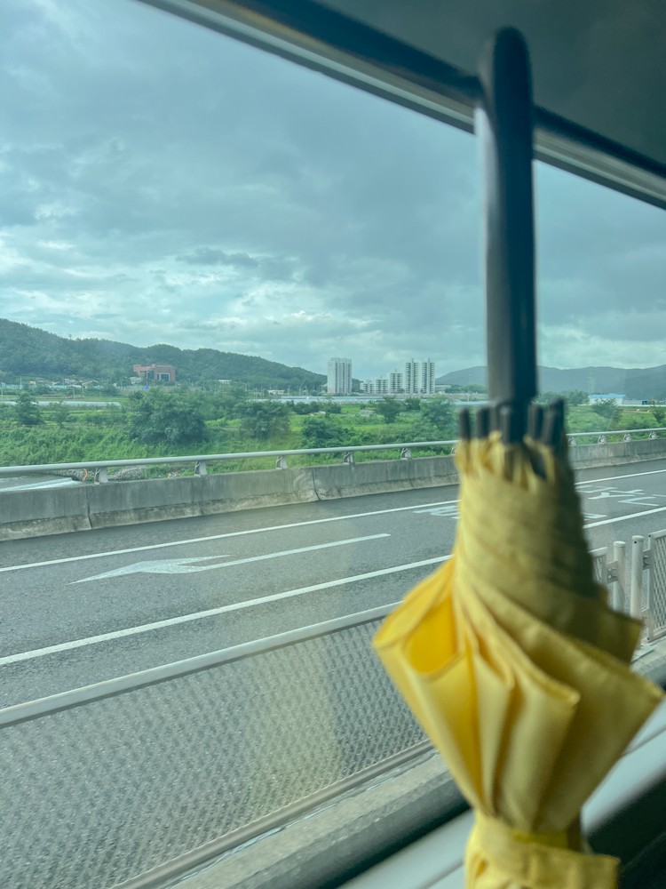 8월 1주차 주간일기 미비포유 울산 우산 능소화 수락산 맘마미아