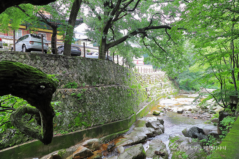 울산 울주 가볼만한곳 울산 석남사 절 계곡 물놀이 명소..