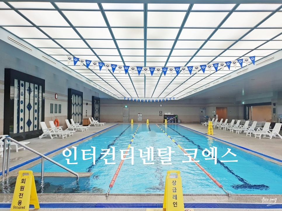 서울 호캉스 추천 인터컨티넨탈 코엑스 객실 수영장 조식 후기