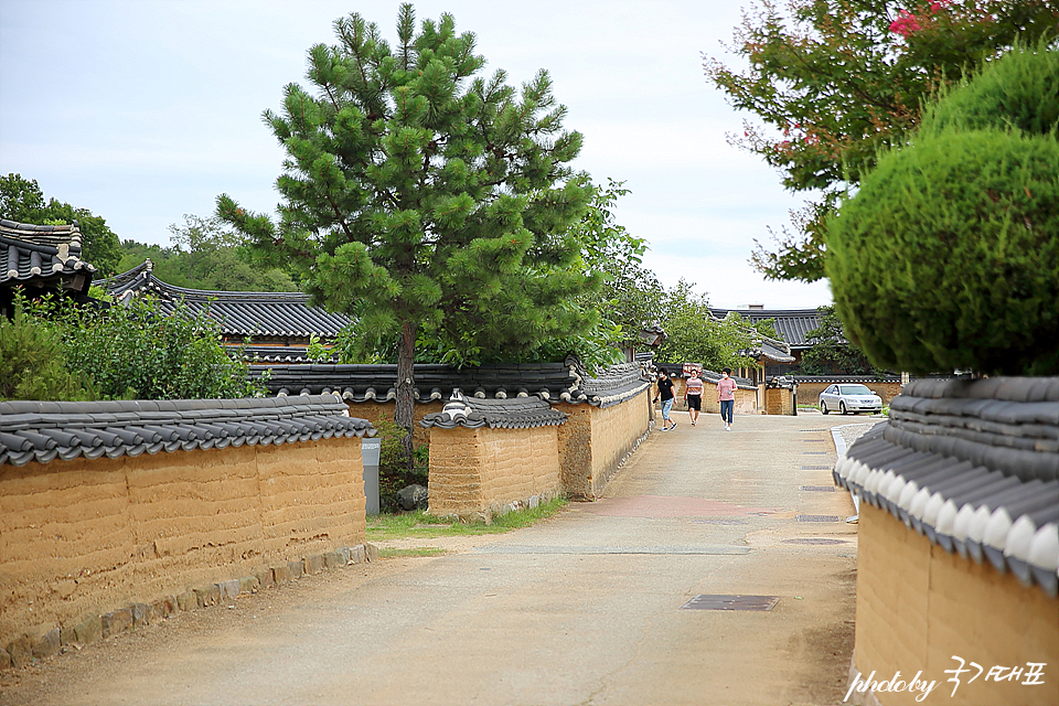 경북 영덕 여행 대진해수욕장 괴시리전통마을 산책