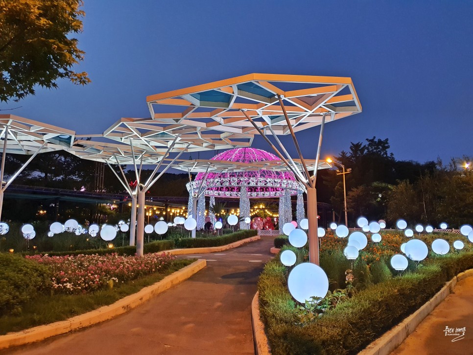 서울근교 야경 경기도 밤에 가볼만한곳 서울랜드 놀이동산공원