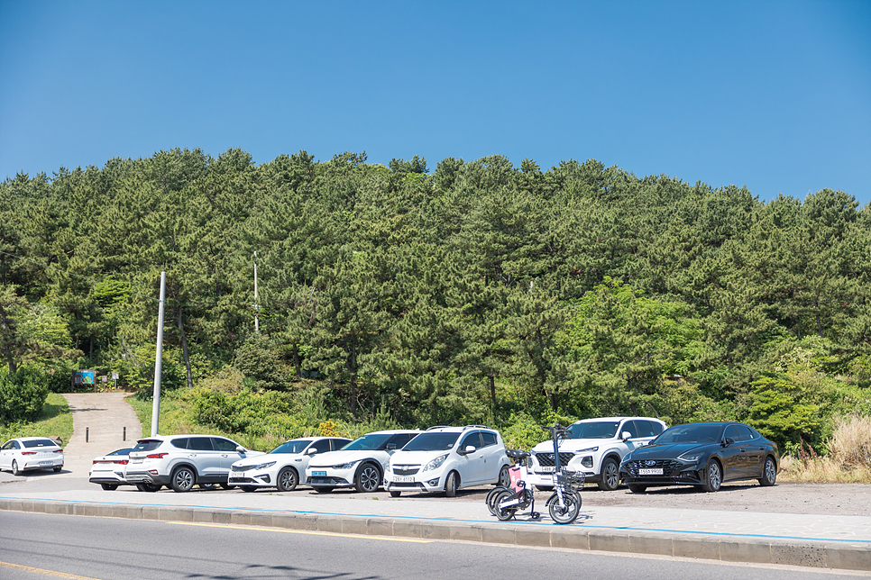 제주 공항근처 볼거리 먹거리 제주시 가볼만한곳