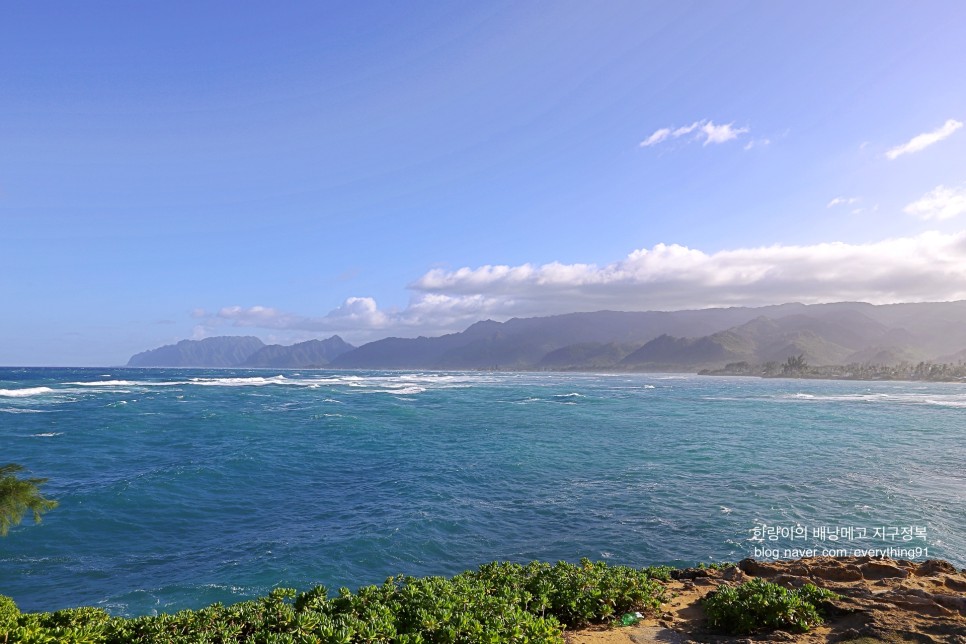 미국 하와이 렌트카 여행 비용 및 각 섬별 차총 추천
