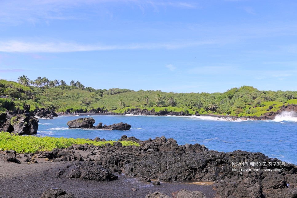 미국 하와이 렌트카 여행 비용 및 각 섬별 차총 추천