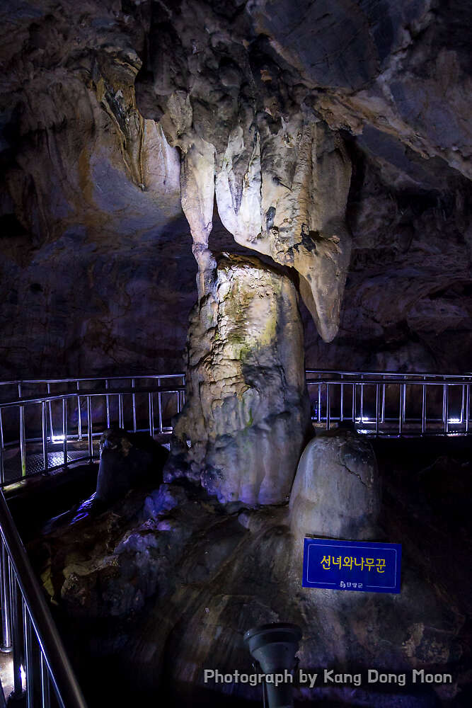 충북 여행 단양 가볼만한곳 당일치기 단양 여행코스 온달관광지 온달동굴