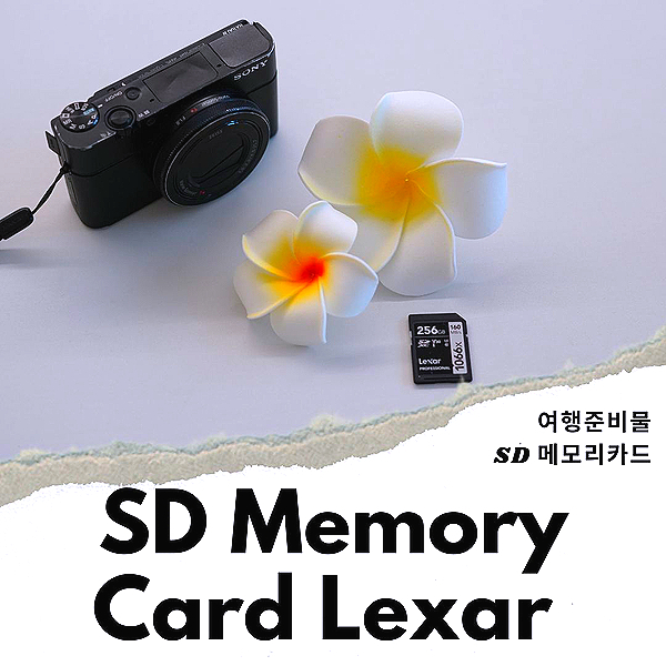 여행 준비물 SD 메모리 카드 구입 시 체크 리스트