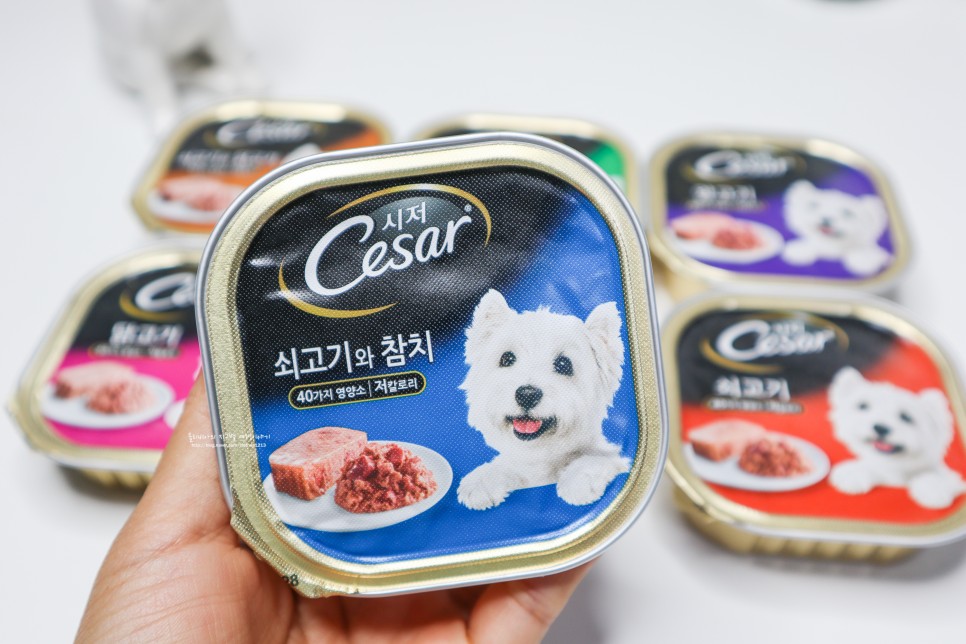 시저 CESAR 강아지습식사료 저칼로리 영양식이라 좋아!