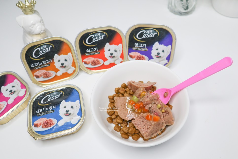 시저 CESAR 강아지습식사료 저칼로리 영양식이라 좋아!