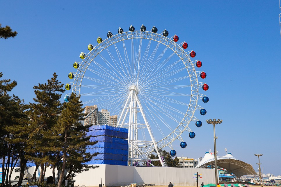 속초 여행코스 대포항 속초해수욕장 영금정 관람차까지 속초 당일치기 코스