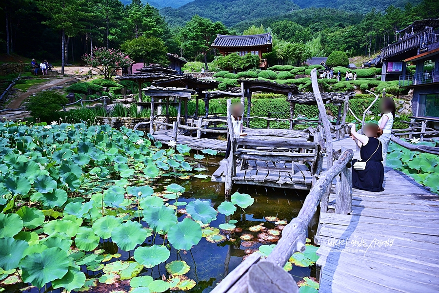 산청 여행코스 산청 한방테마파크 동의보감촌 생초국제조각 공원