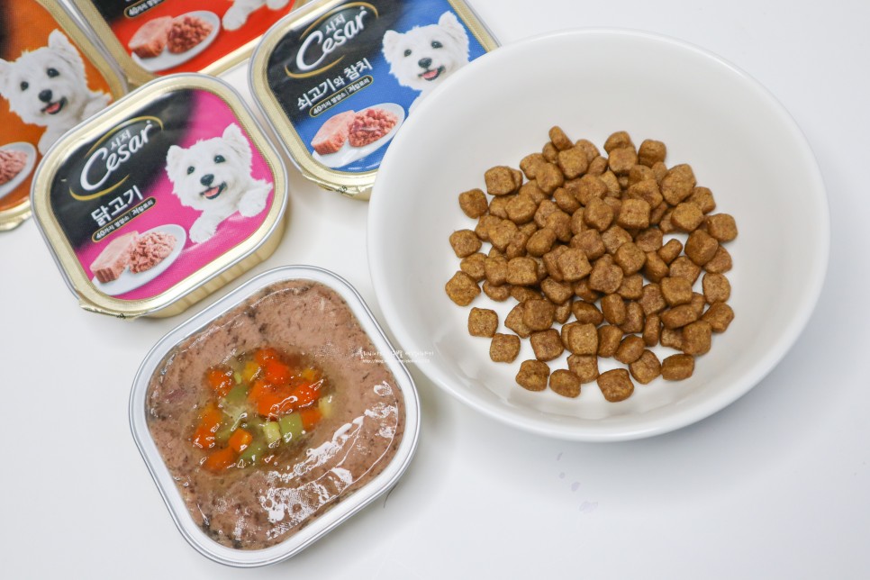 시저 CESAR 강아지습식사료 저칼로리 영양식이라 좋아!