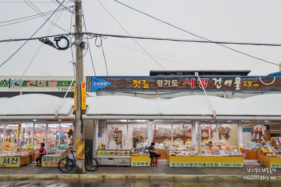 강릉 주문진 가볼만한곳 주문진 수산시장 풍물시장