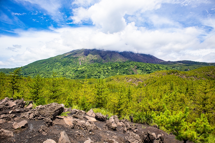 일본여행 가고시마 사쿠라지마 화산 섬 렌트카 타고 둘러보기