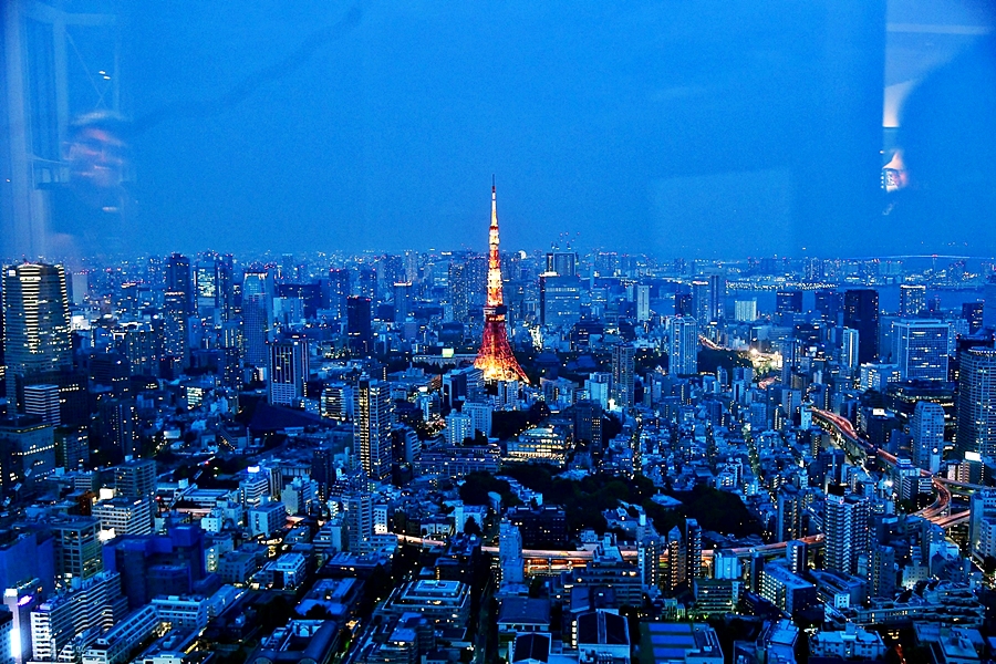 일본 여행 도쿄 가볼만한곳 도쿄타워 무민마을 지브리스튜디오