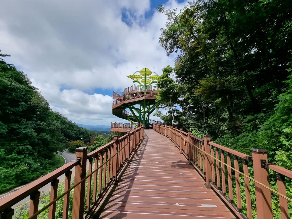 보은 가볼만한곳 속리산 말티재 전망대, 솔향공원 스카이바이크