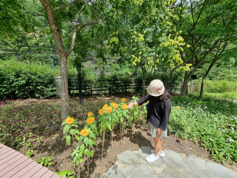 보은 가볼만한곳 속리산 말티재 전망대, 솔향공원 스카이바이크