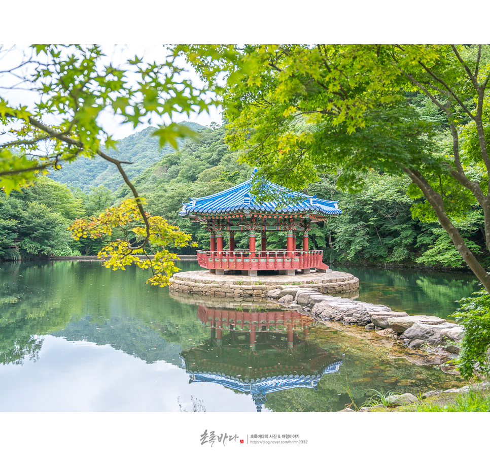 전북 여행 드라이브 코스 내장산국립공원 우화정