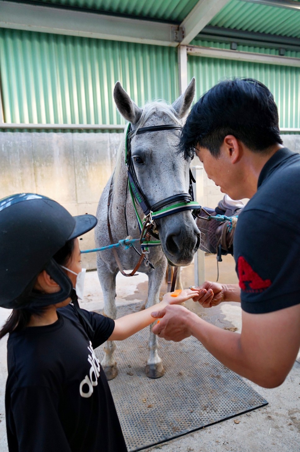 제주 승마체험 제주도 아이랑 놀거리 어린이 이색 체험