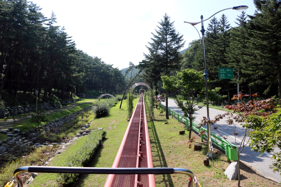 보은 가볼만한곳 속리산 말티재 전망대, 솔향공원 스카이바이크