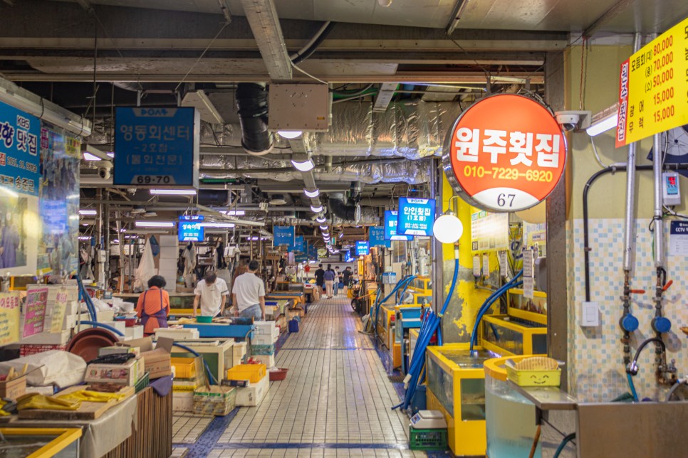 강릉 여행, 놀고먹는 즐거움 가득 추천 코스 :: 안목해변, 강릉항요트마리나, 강릉중앙시장, 월화거리, 버드나무 브루어리, 강릉여행코스, 강릉가볼만한곳, 강원도가볼만한곳